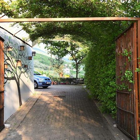 #Ioniahouse Surrel Villa Тирана Экстерьер фото