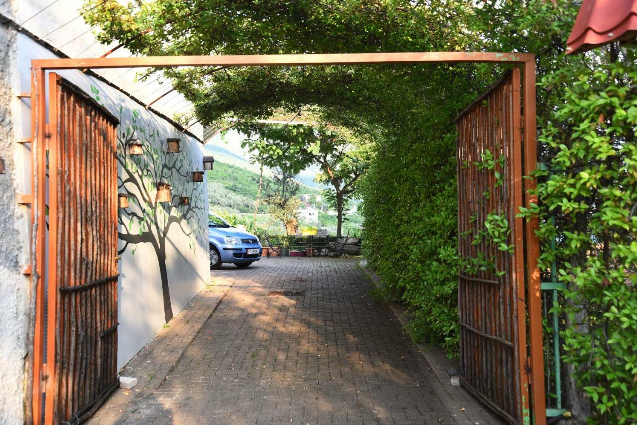 #Ioniahouse Surrel Villa Тирана Экстерьер фото