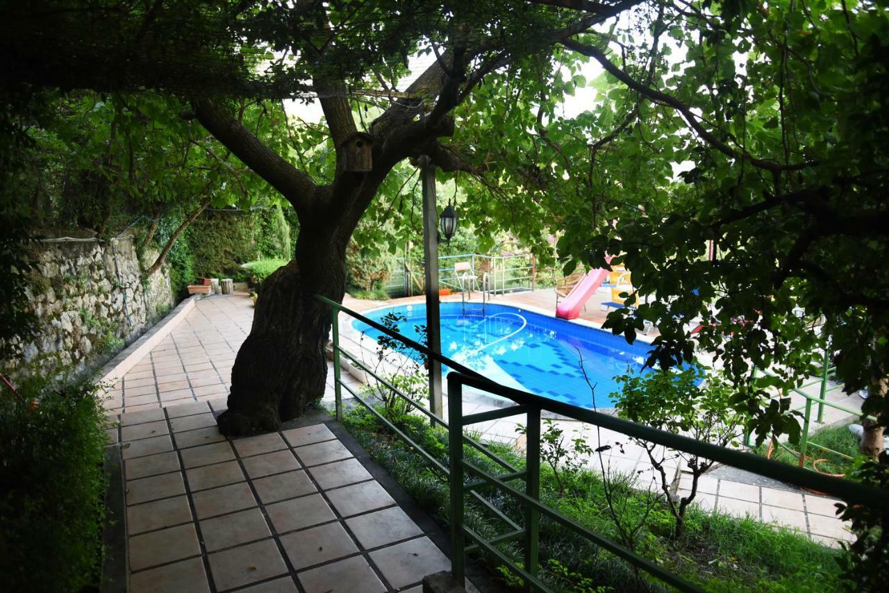 #Ioniahouse Surrel Villa Тирана Экстерьер фото