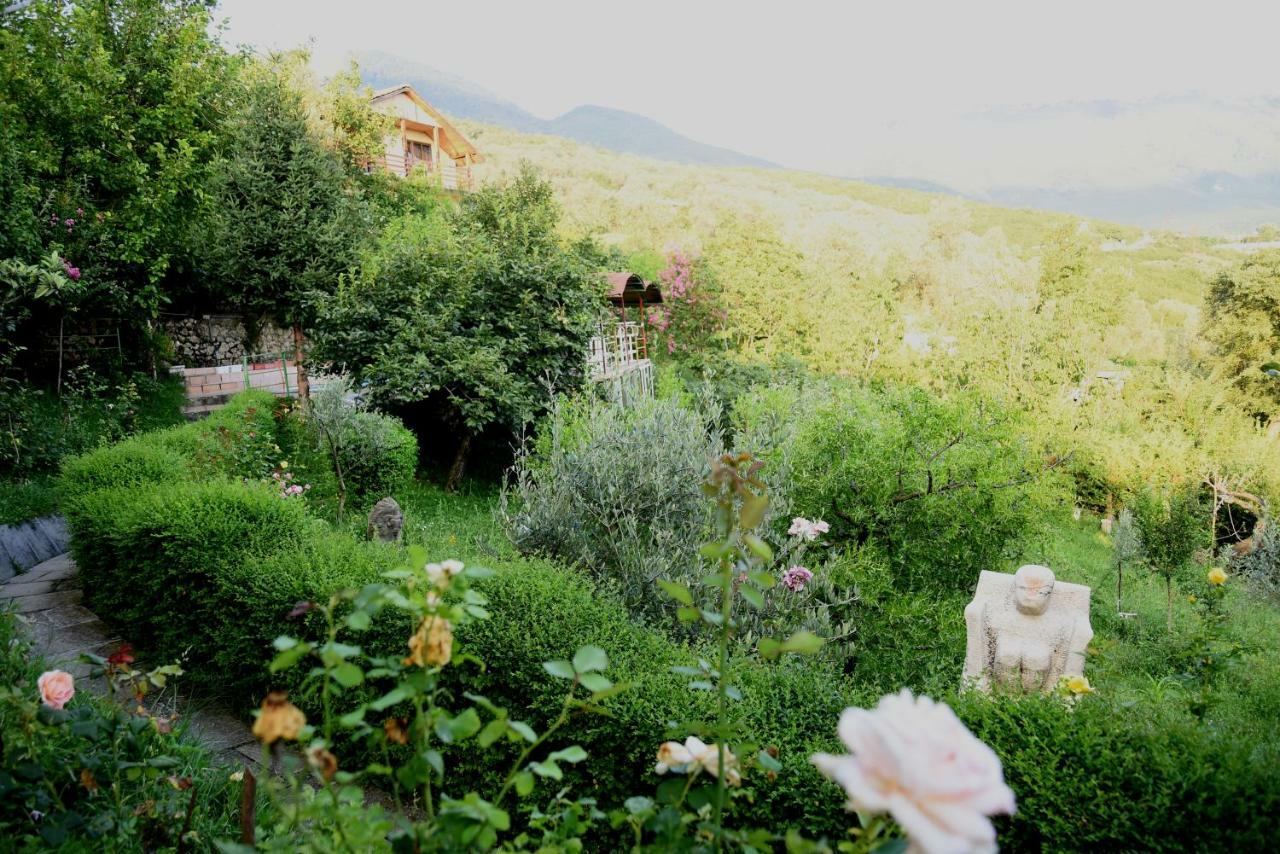 #Ioniahouse Surrel Villa Тирана Экстерьер фото
