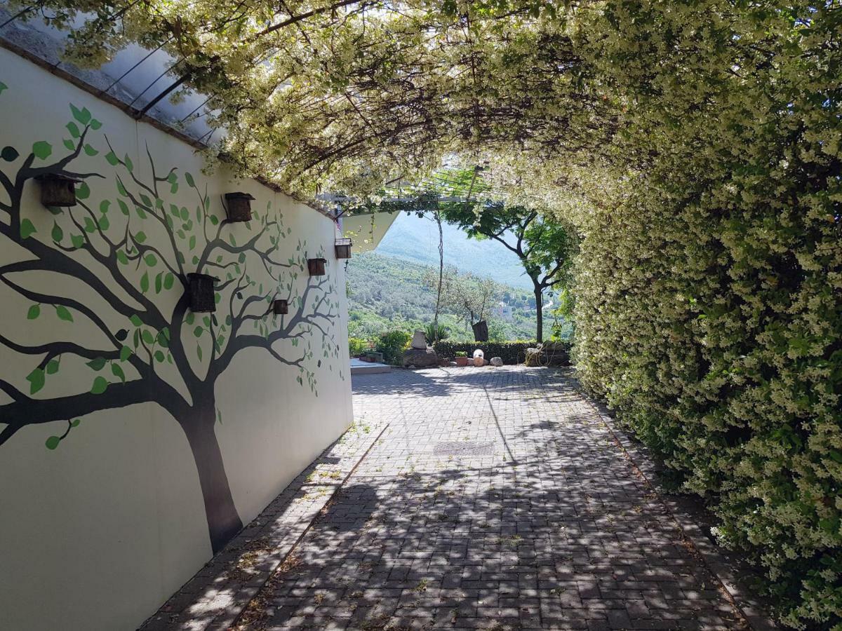 #Ioniahouse Surrel Villa Тирана Экстерьер фото